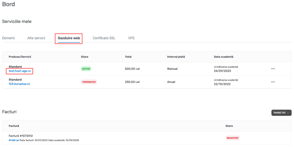 Client admin interface with web hosting accounts and domains