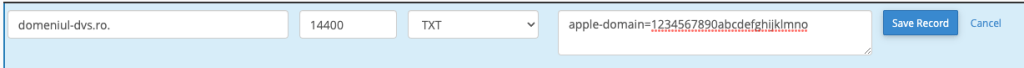 Adding custom TXT record provided by Apple iCloud Mail