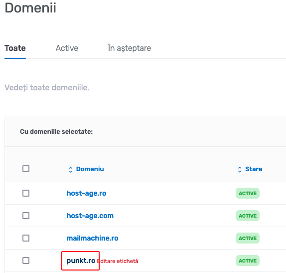 Selecting the domain to modify the nameservers