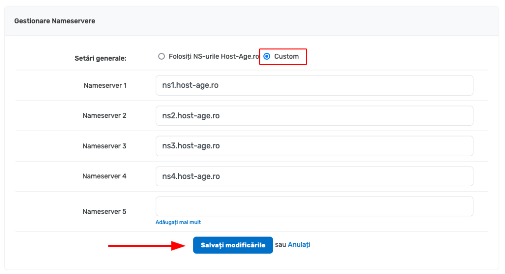 Setting the nameservers of a domain